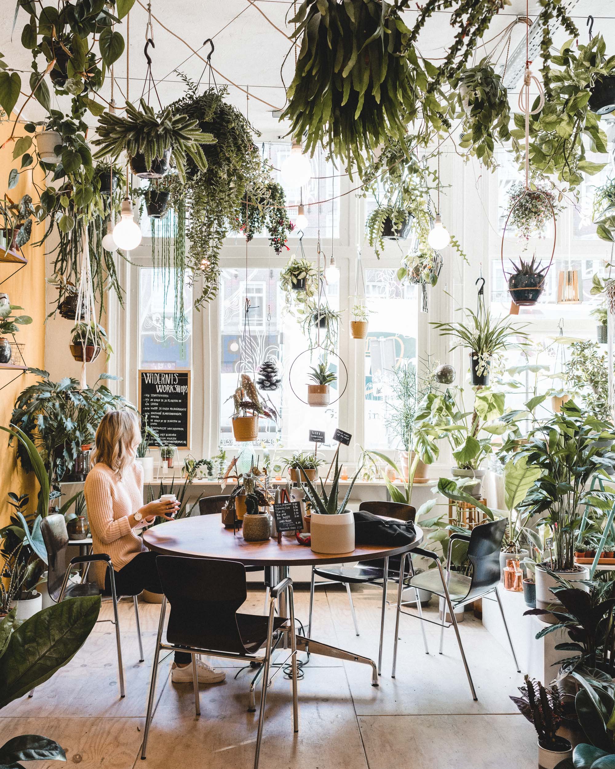 Wildernes plant store in Amsterdam's Jordaan district, Holland, The Netherlands