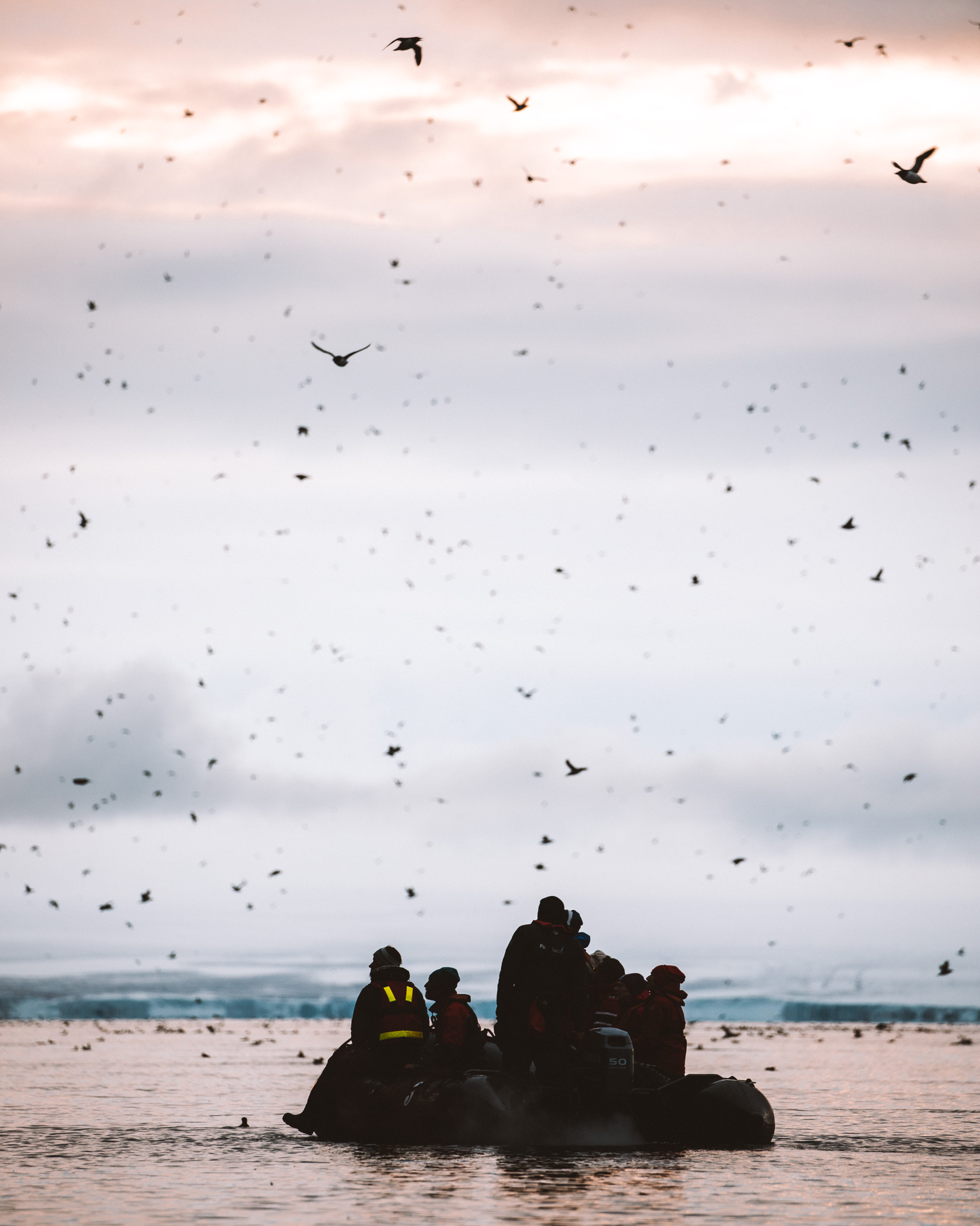 Boat at the bird cliffs in Svalbard Norway