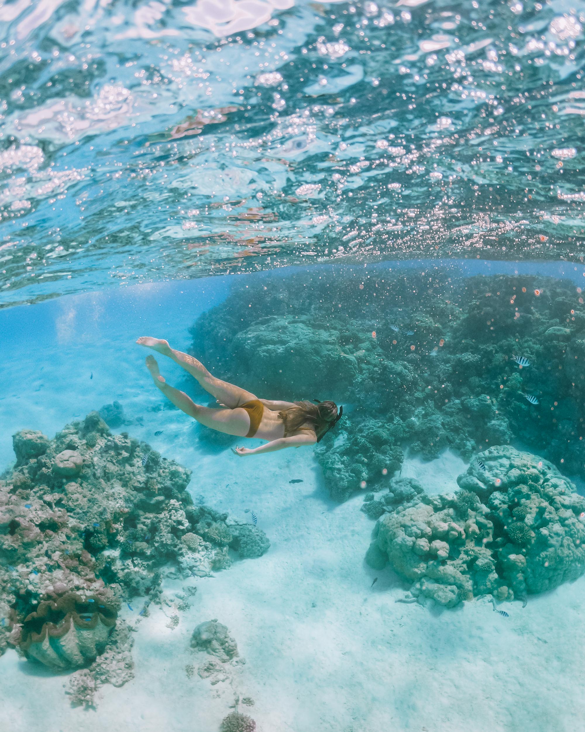 Underwater shot snorkeling with fish in the turquoise water of One Foot Island, Aitutaki, Cook Islands