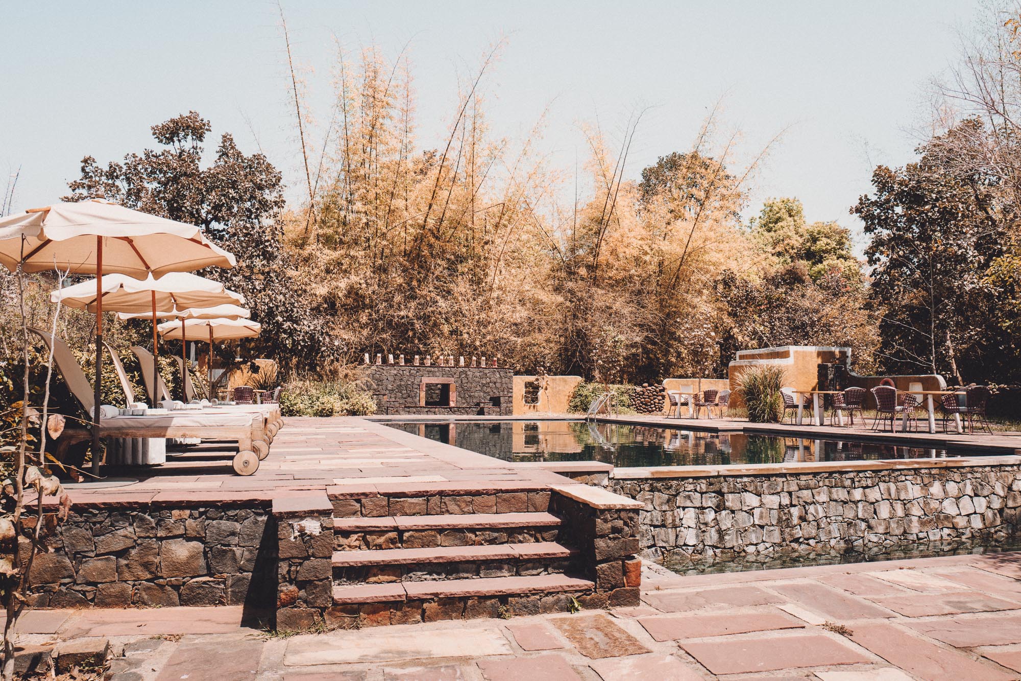 Tiger Safari at Samode Safari Lodge in Ranthambore National Park, India via Find Us Lost