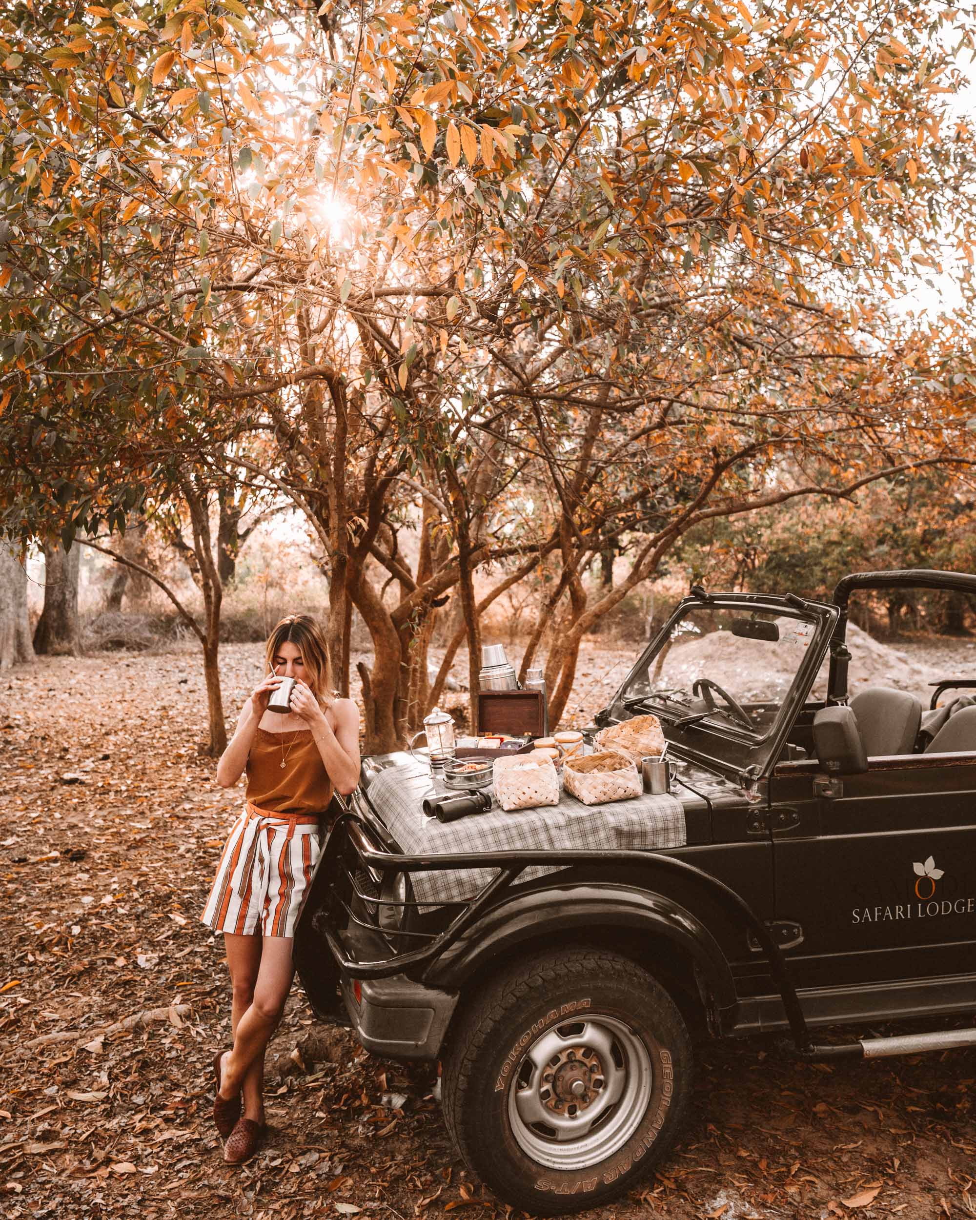 Breakfast on our jeep during a Tiger Safari in Ranthambore National Park, India via Find Us Lost