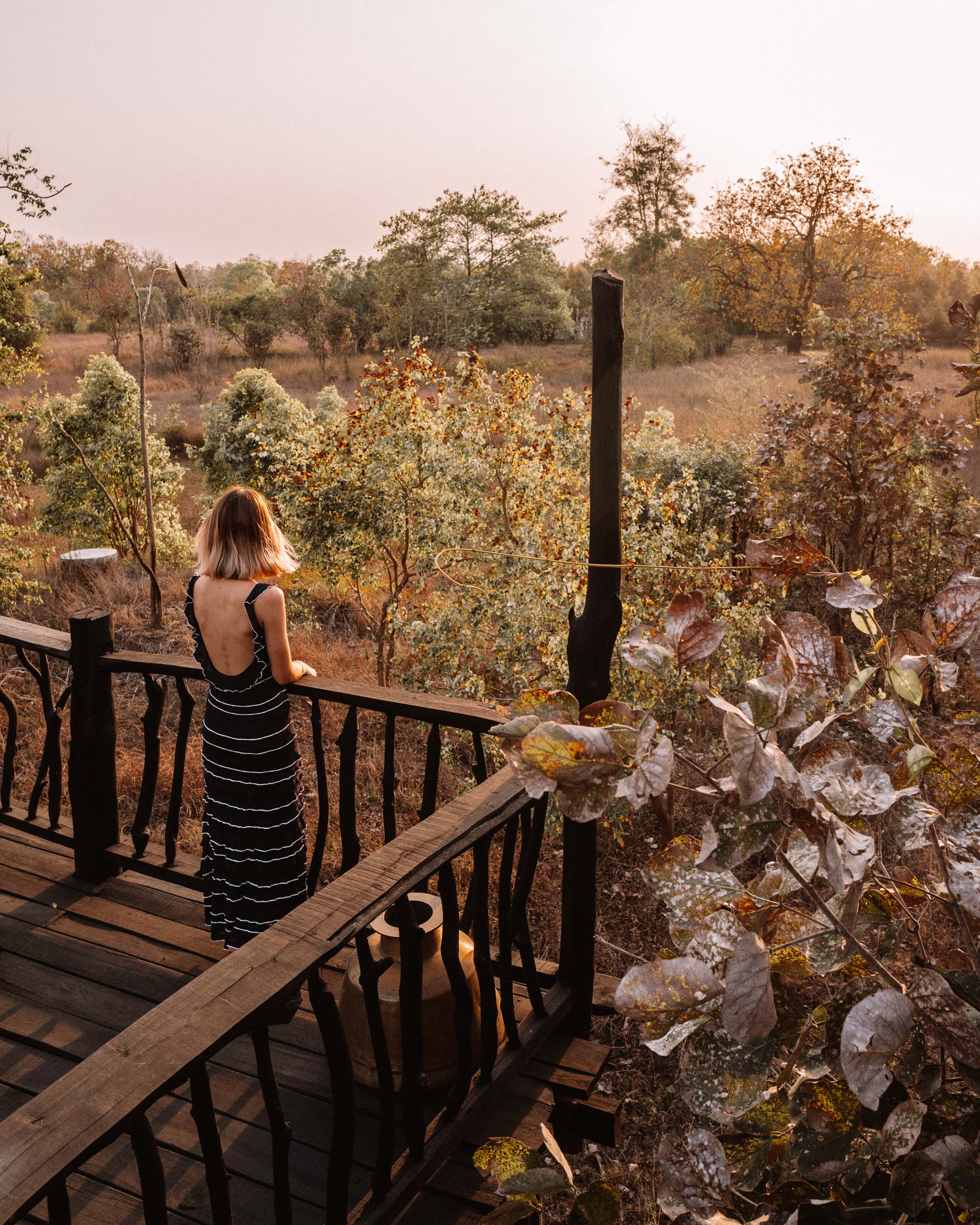Dinner at Samode Safari Lodge in Ranthambore National Park, India via Find Us Lost