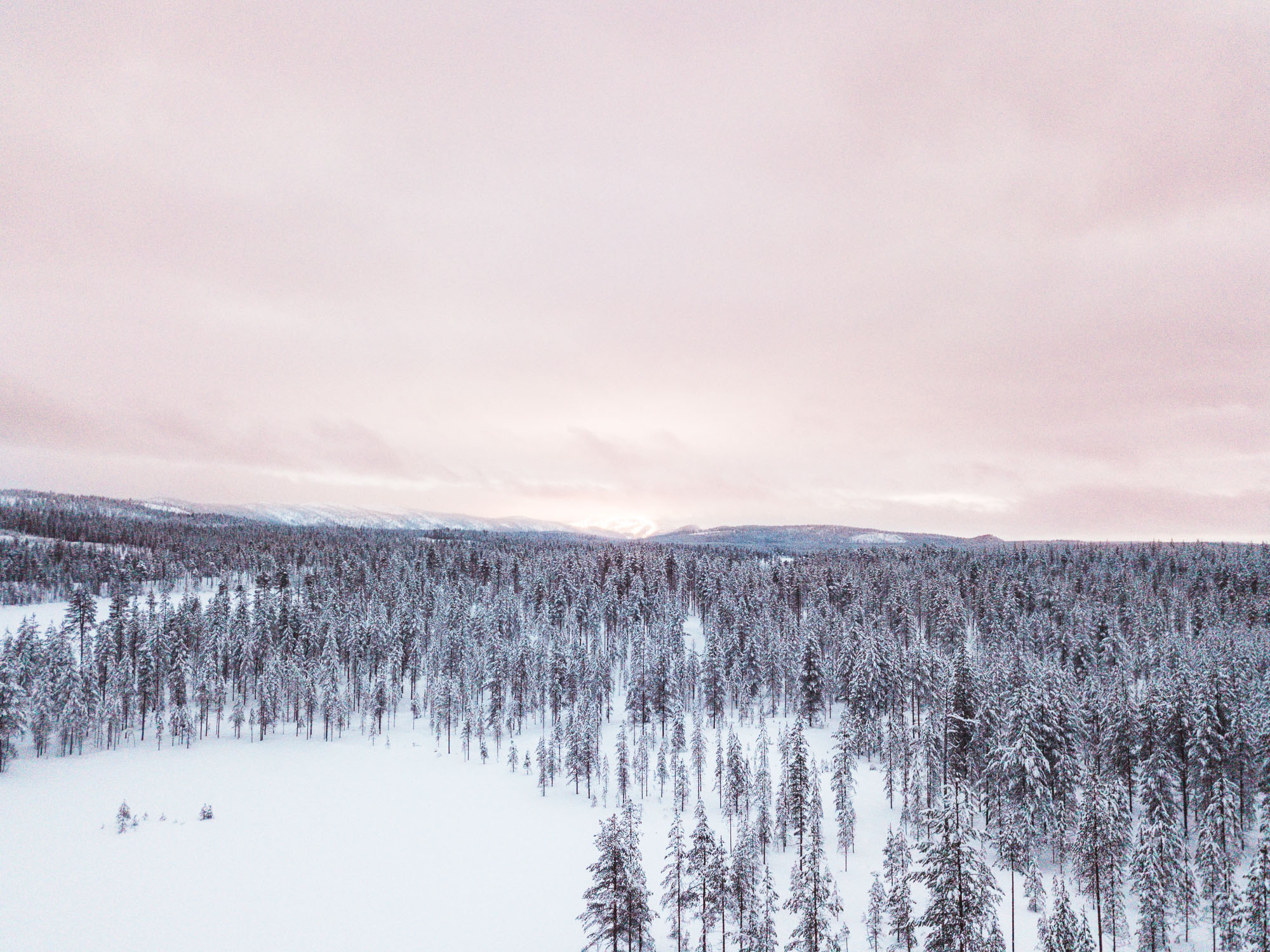 Snow-covered trees and mountains during sunset in Finland