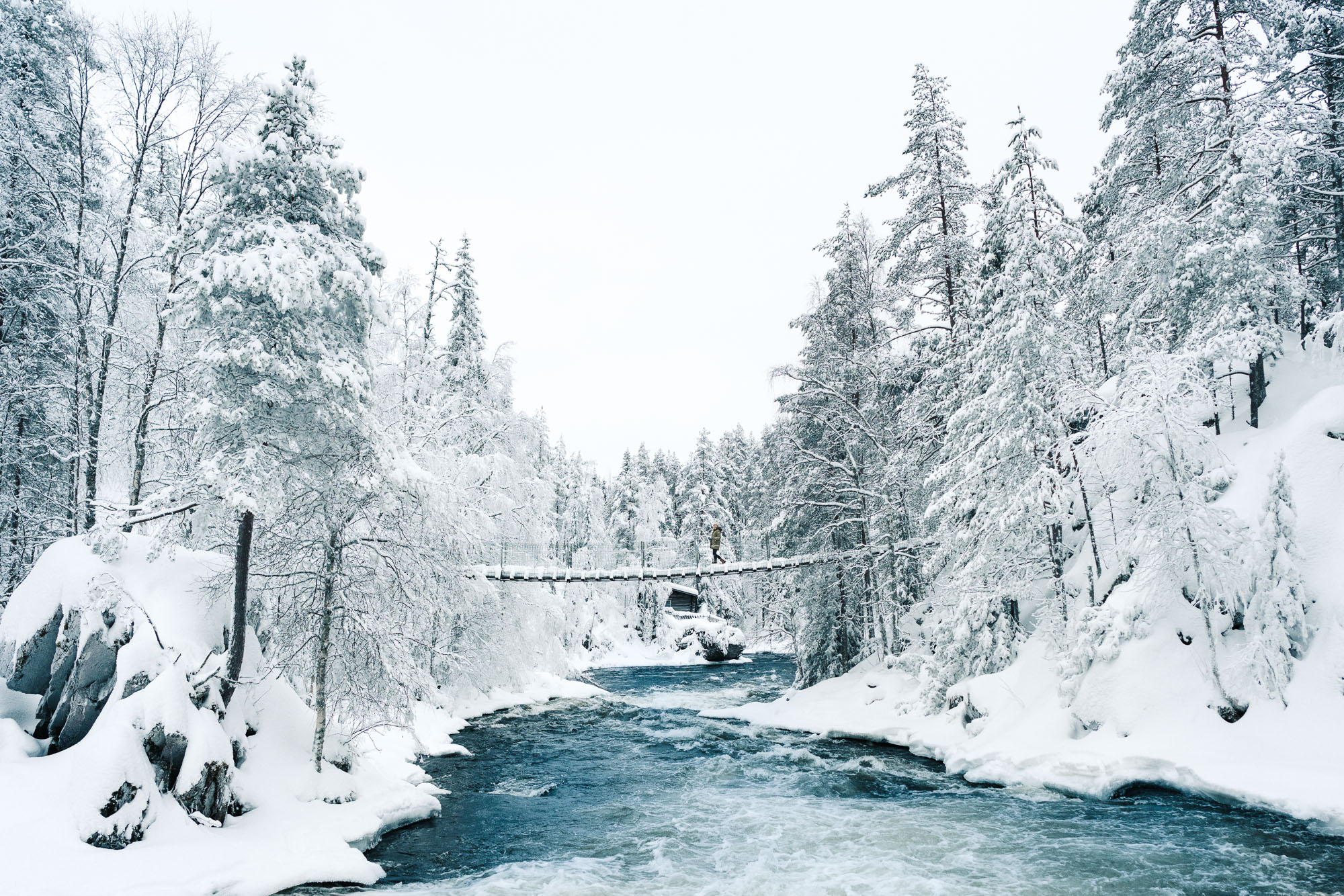 Oulanka National Park bridges in the winter Finland