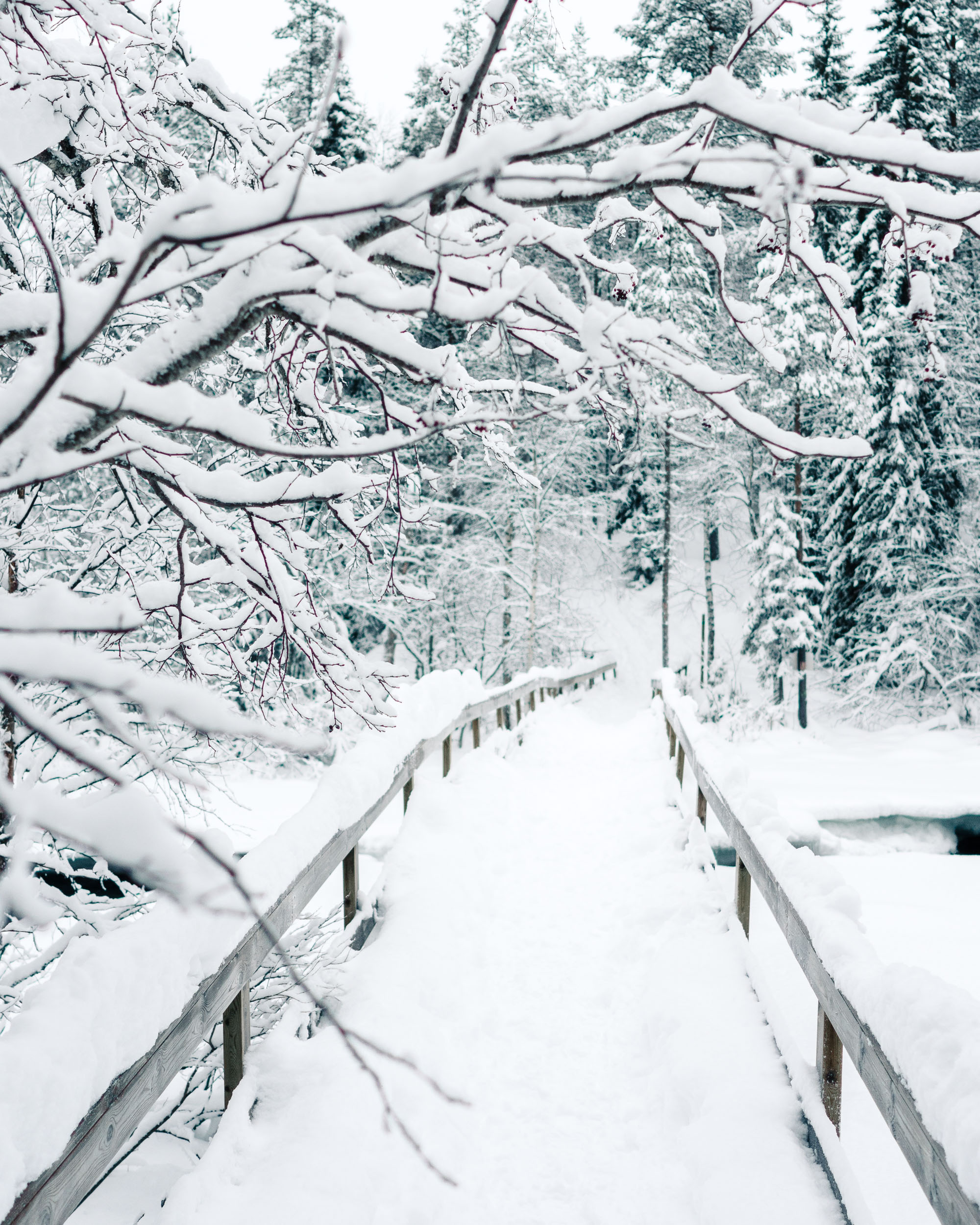 Oulanka National Park bridges in the winter Finland