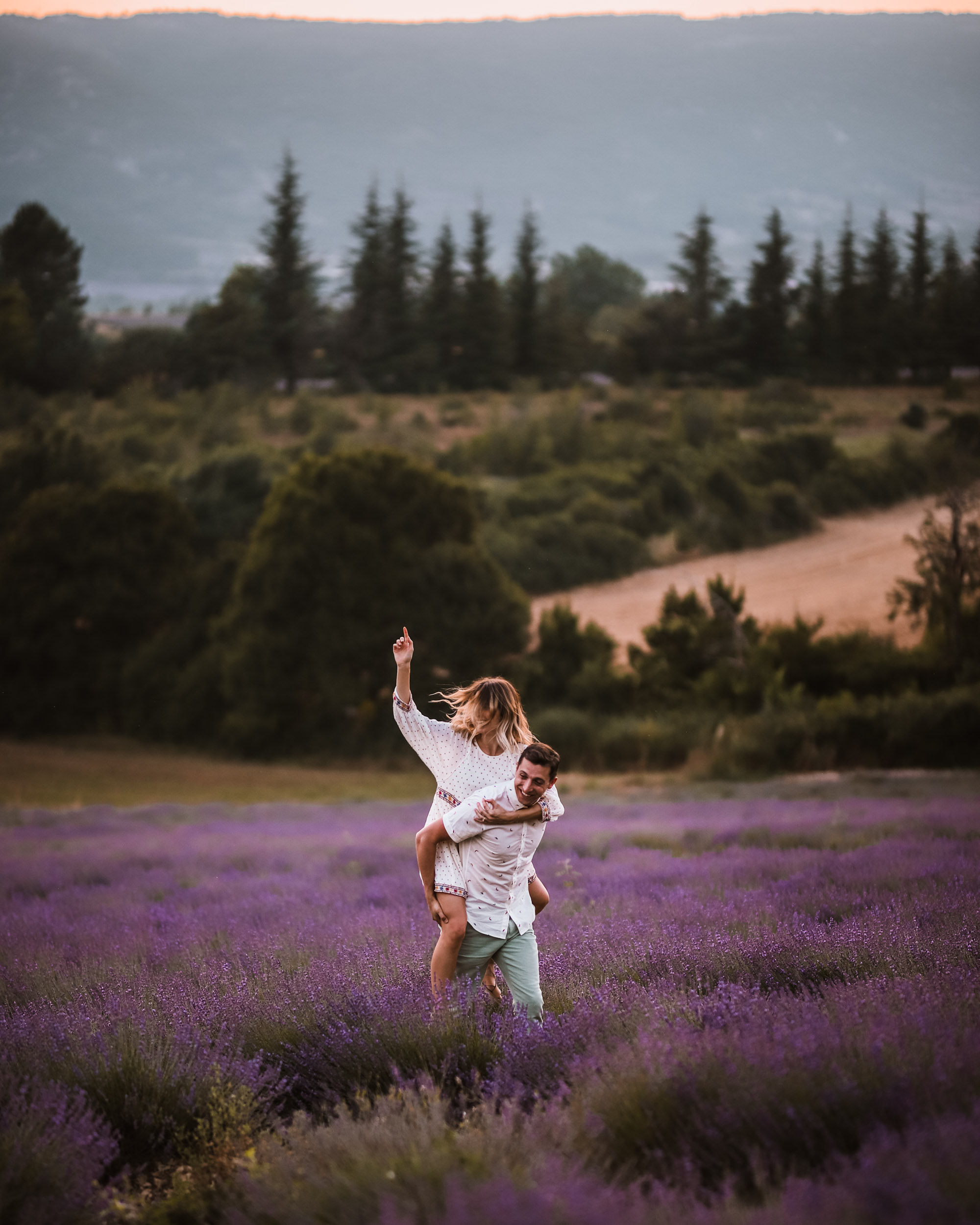 Lavender fields near Sault in Provence, South of France