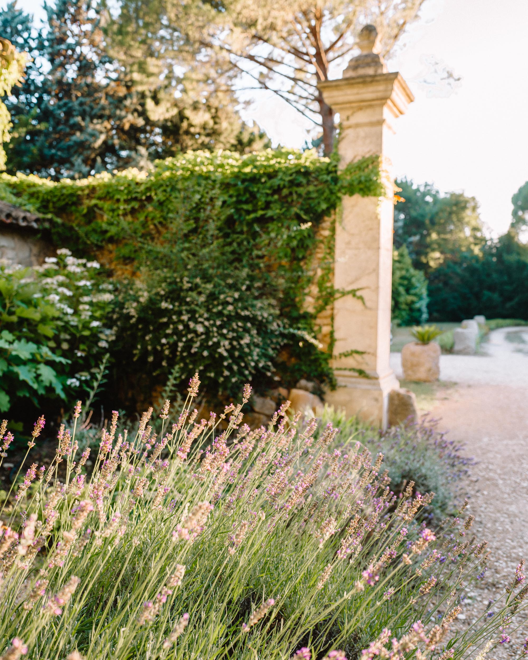 Charming garden courtyard at Le Galinier de Lourmarin in Provence, France, with lavender and Mediterranean plants, and rustic stone architecture