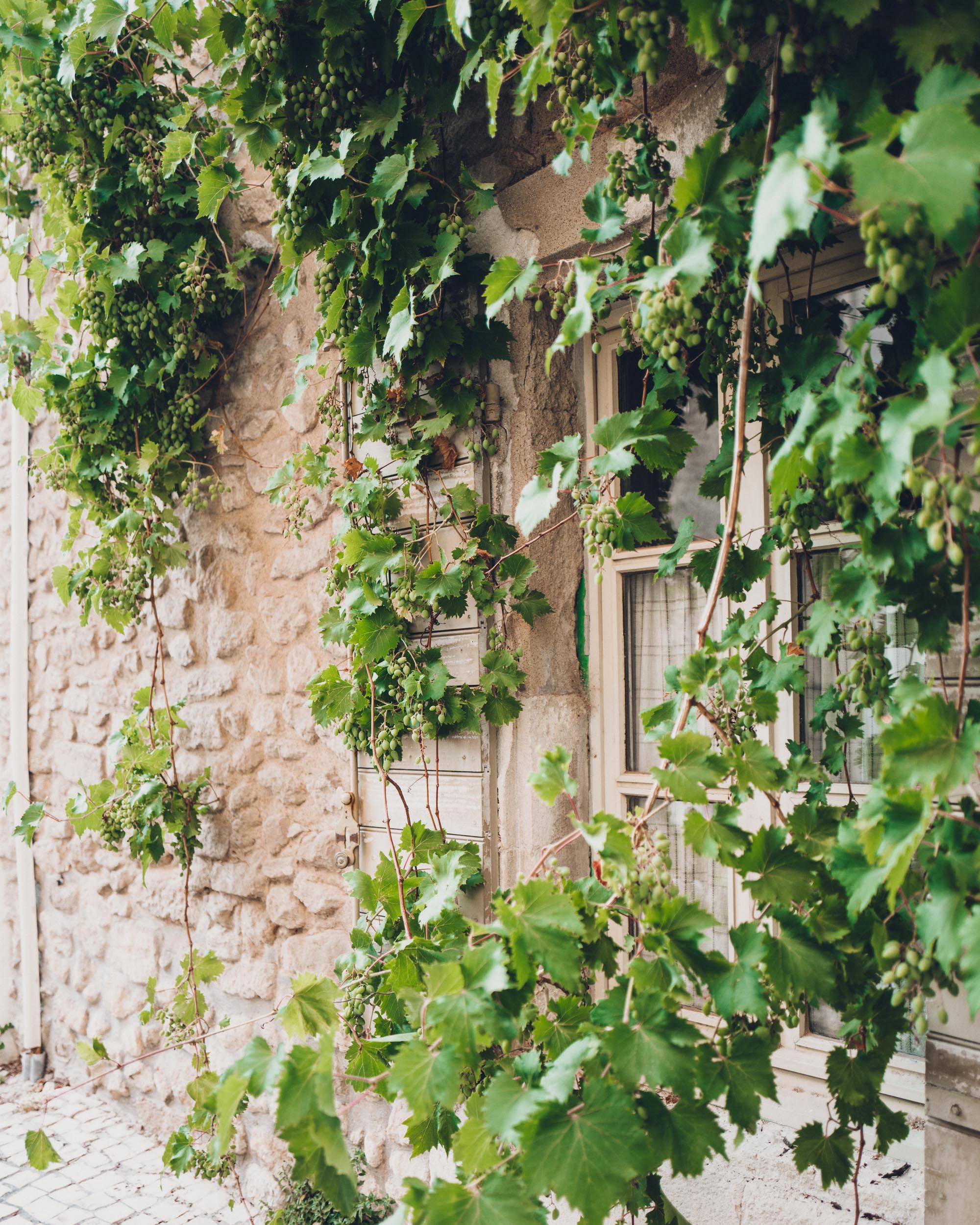 Apt market restaurant in Provence, South of France