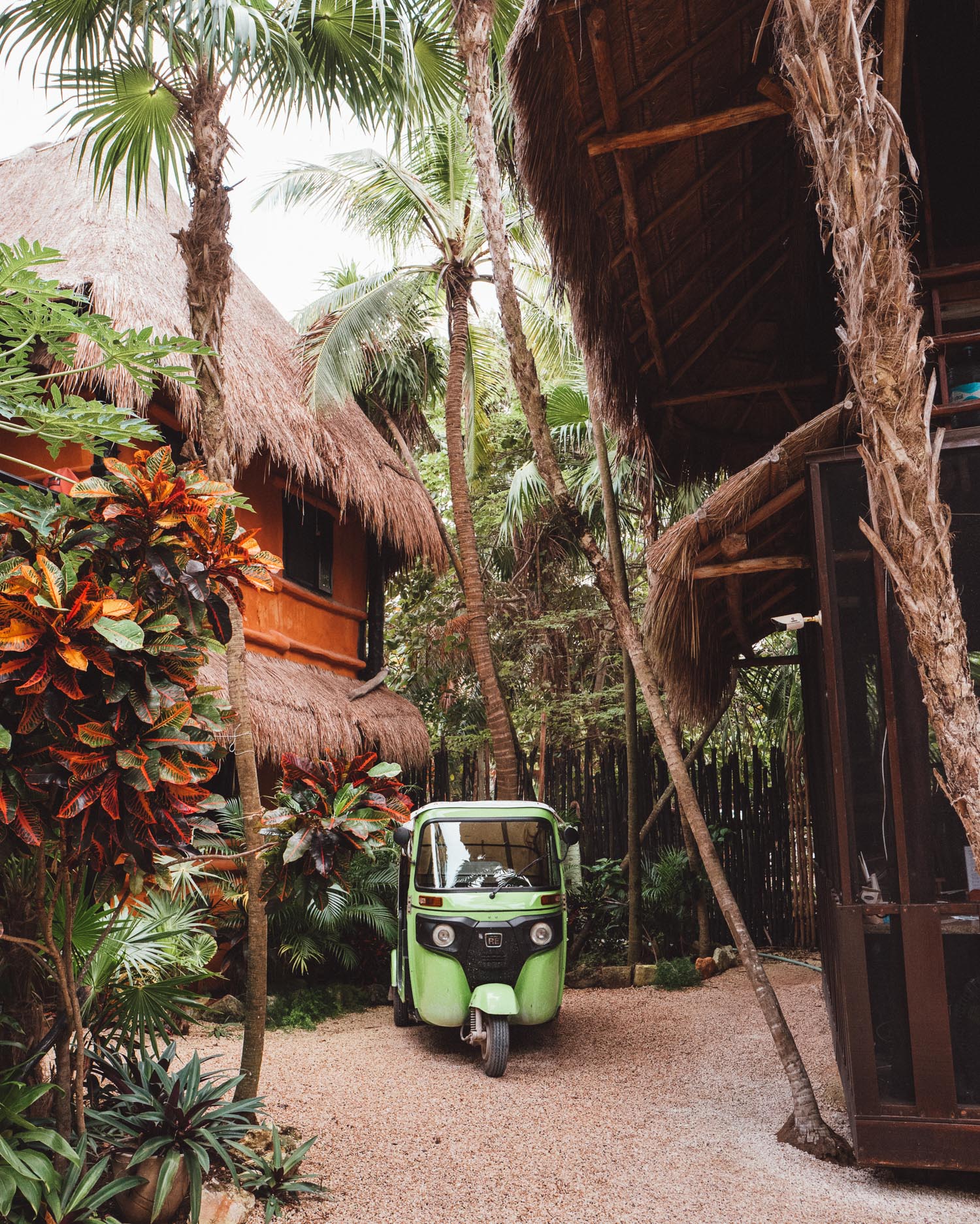 Scooter and palm trees in Tulum, Mexico
