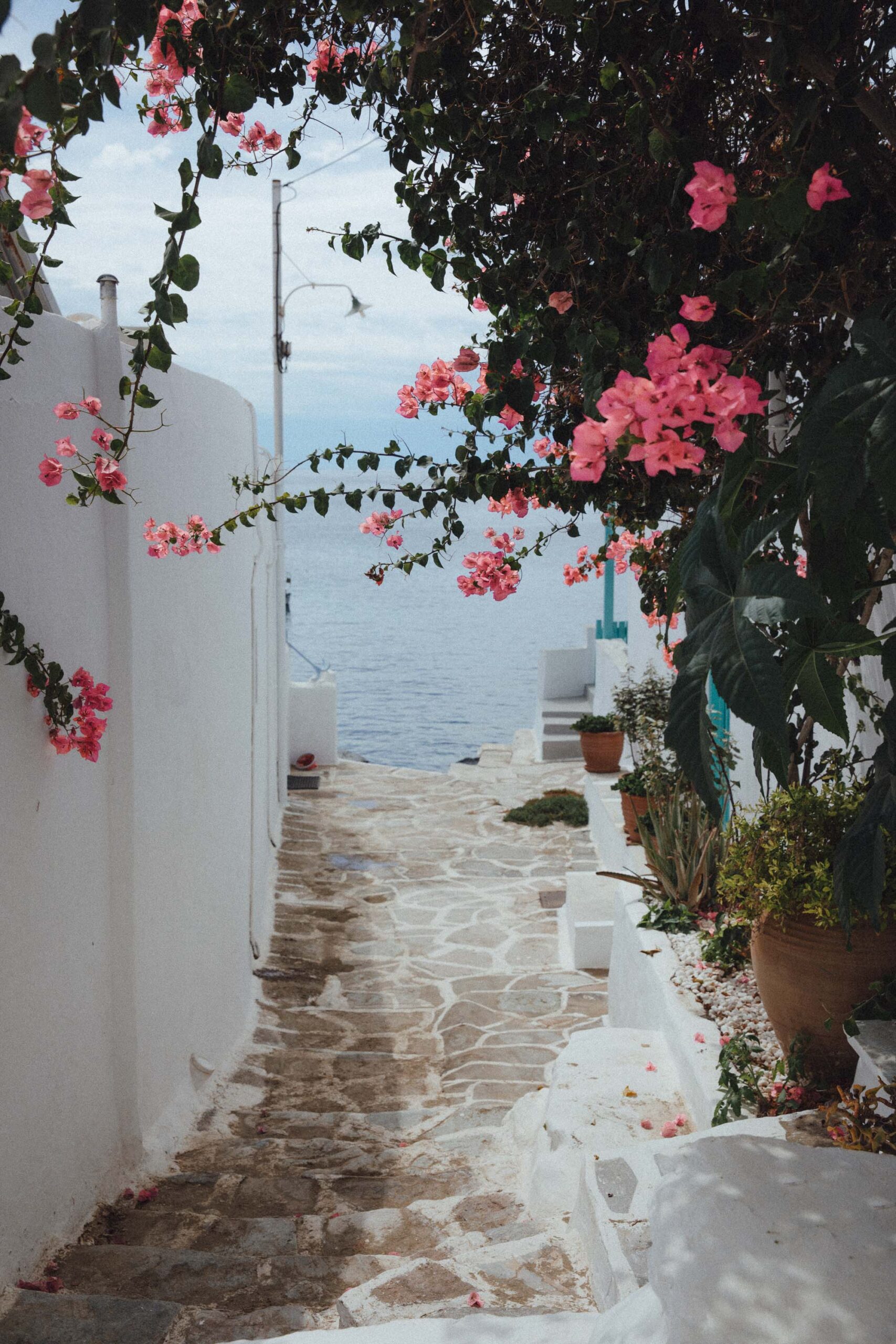 View of the sea from Faros on Sifnos with traditional Cycladic architecture and sea views, featured in this Sifnos guide as one of the most charming places where to stay in Sifnos.