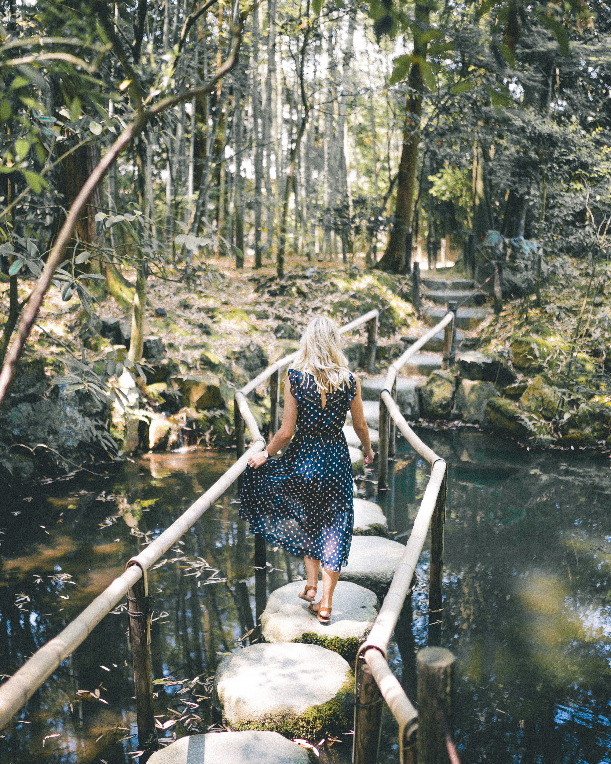 Tenjuan Gardens in Kyoto, Japan | 24 Hour Guide to Kyoto, Japan | 1 Day Guide Kyoto | Kyoto City Guide | Kyoto Travel Itinerary