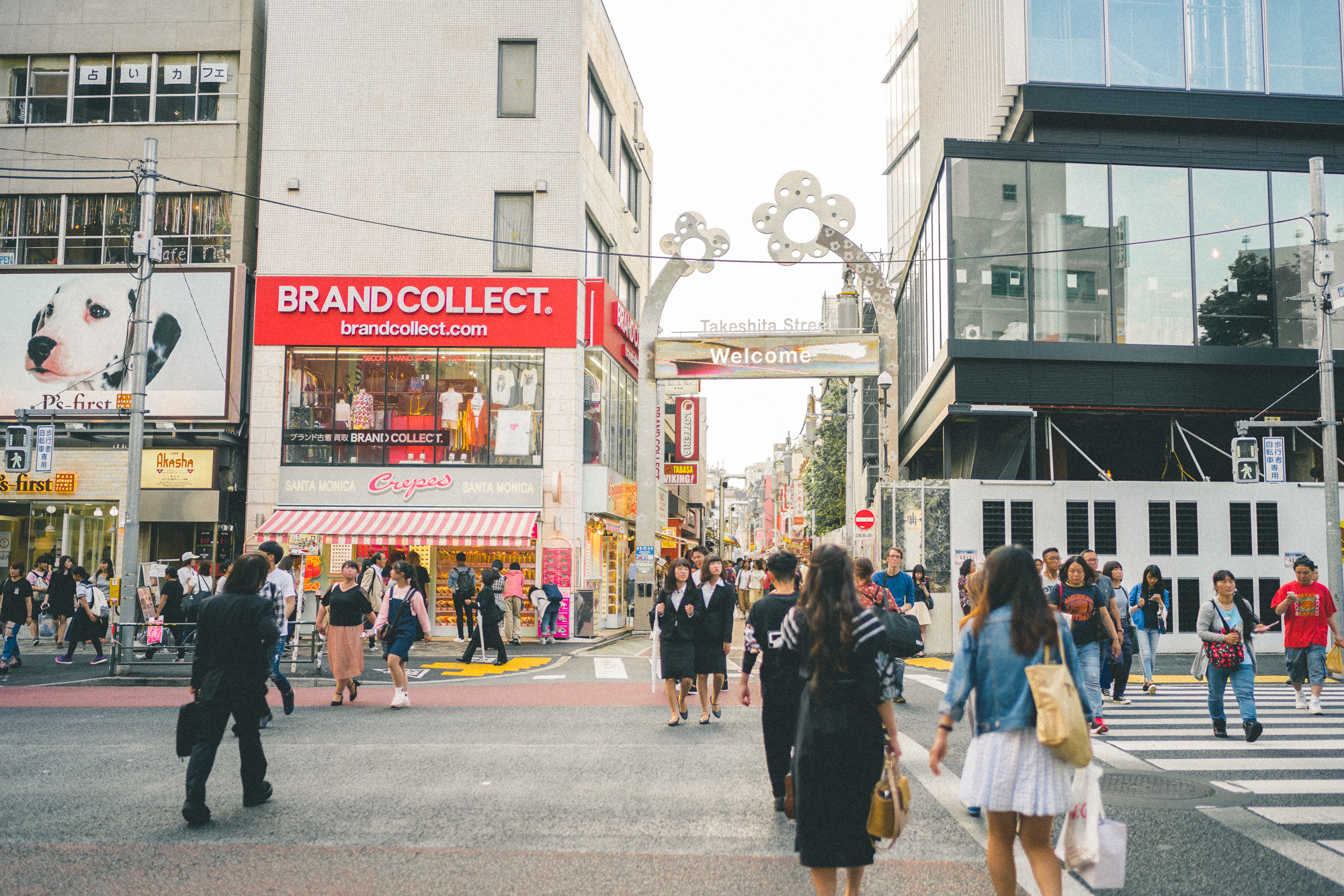 The Complete Tokyo Travel Guide | City Guides | Japan Travel Itinerary | Shinjuku Shibuya Harajuku Neighborhood Travel Tips 