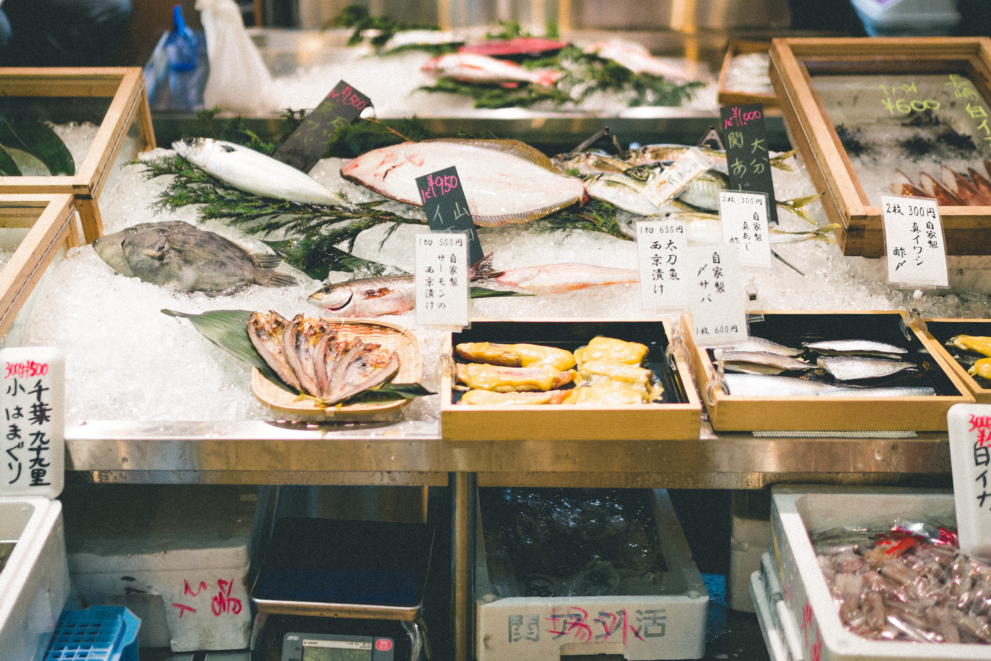 The Complete Tokyo Travel Guide | City Guides | Japan Travel Itinerary | Tsujiki Fish Market Neighborhood Travel Tips