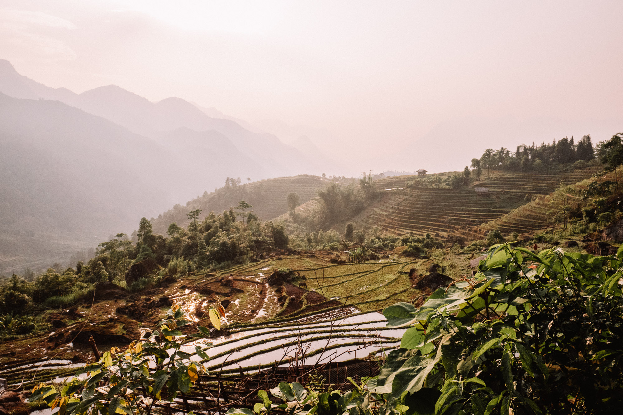 Sunset over the rice fields in Sapa Vietnam