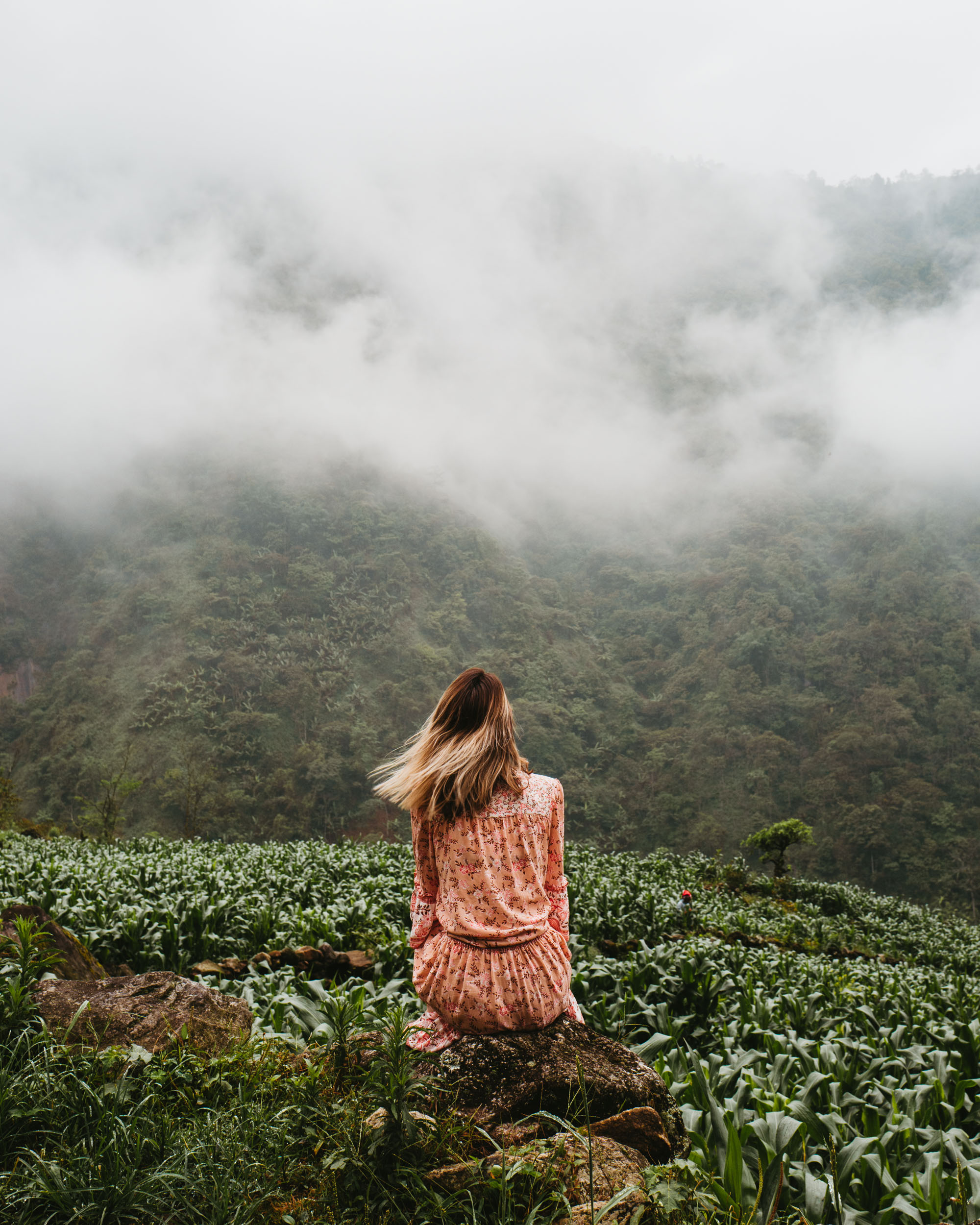 Hiking in the rice fields of Sapa Vietnam