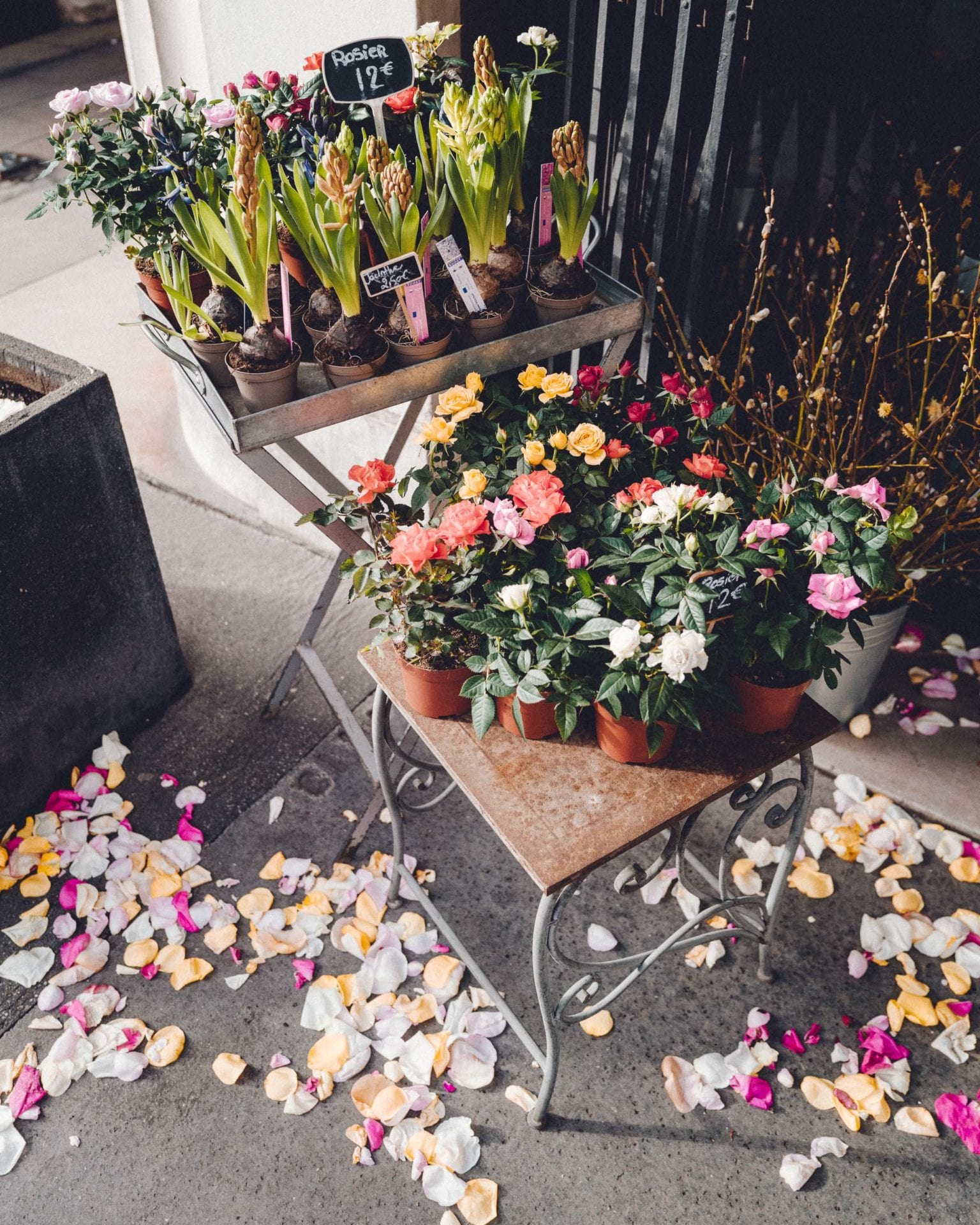 Flowers for Valentine's Weekend in Paris France