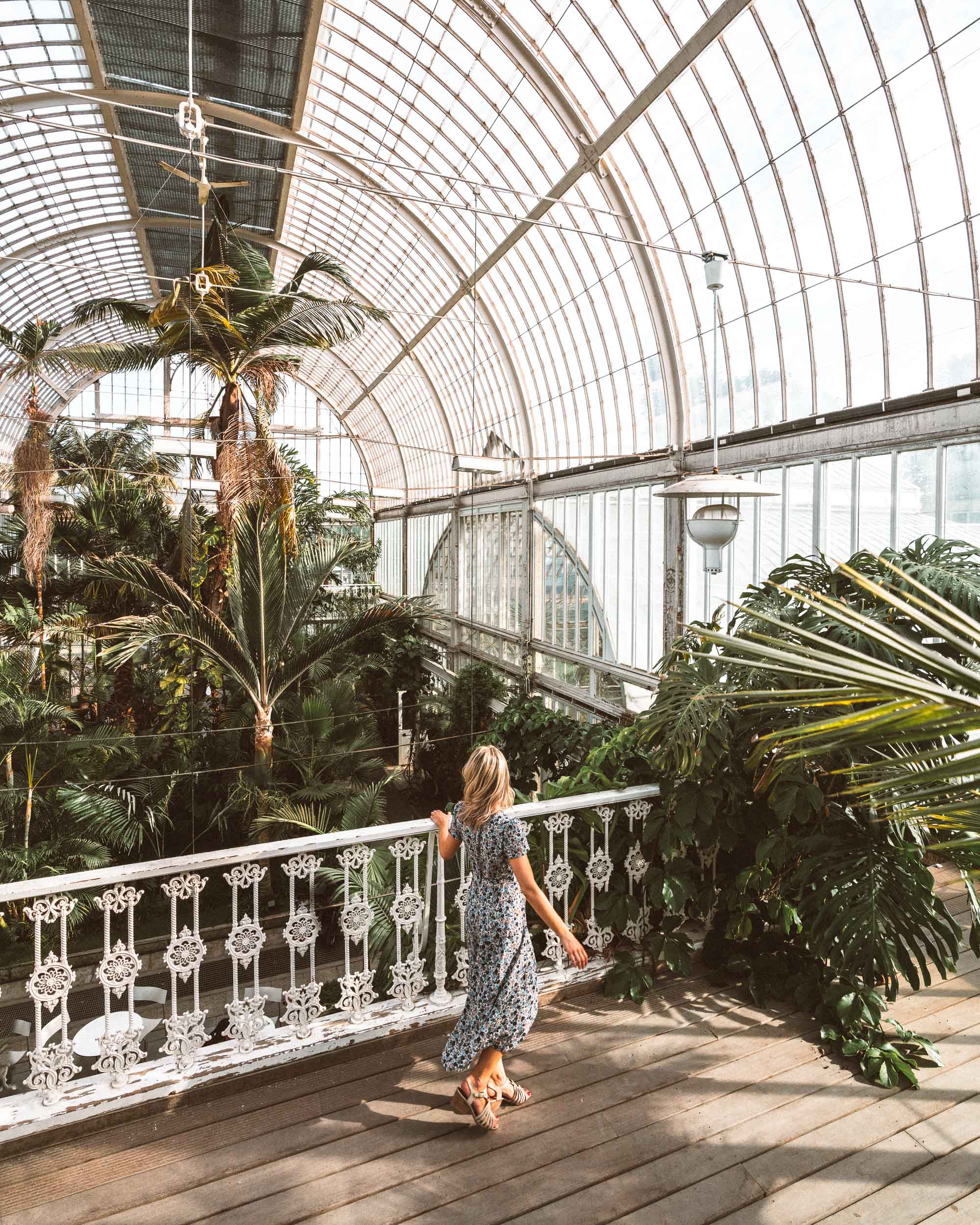 Gothenburg Garden Society palm house | West Sweden Guide via @finduslost