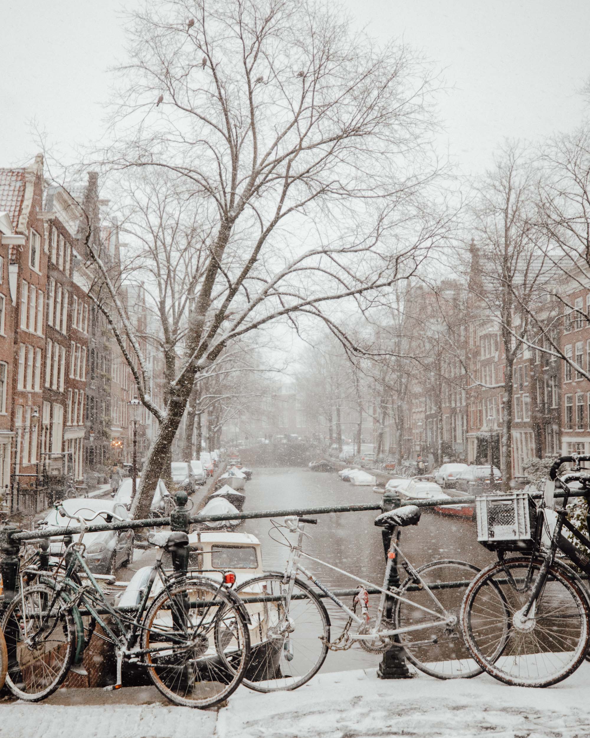 Amsterdam canals in winter with snow